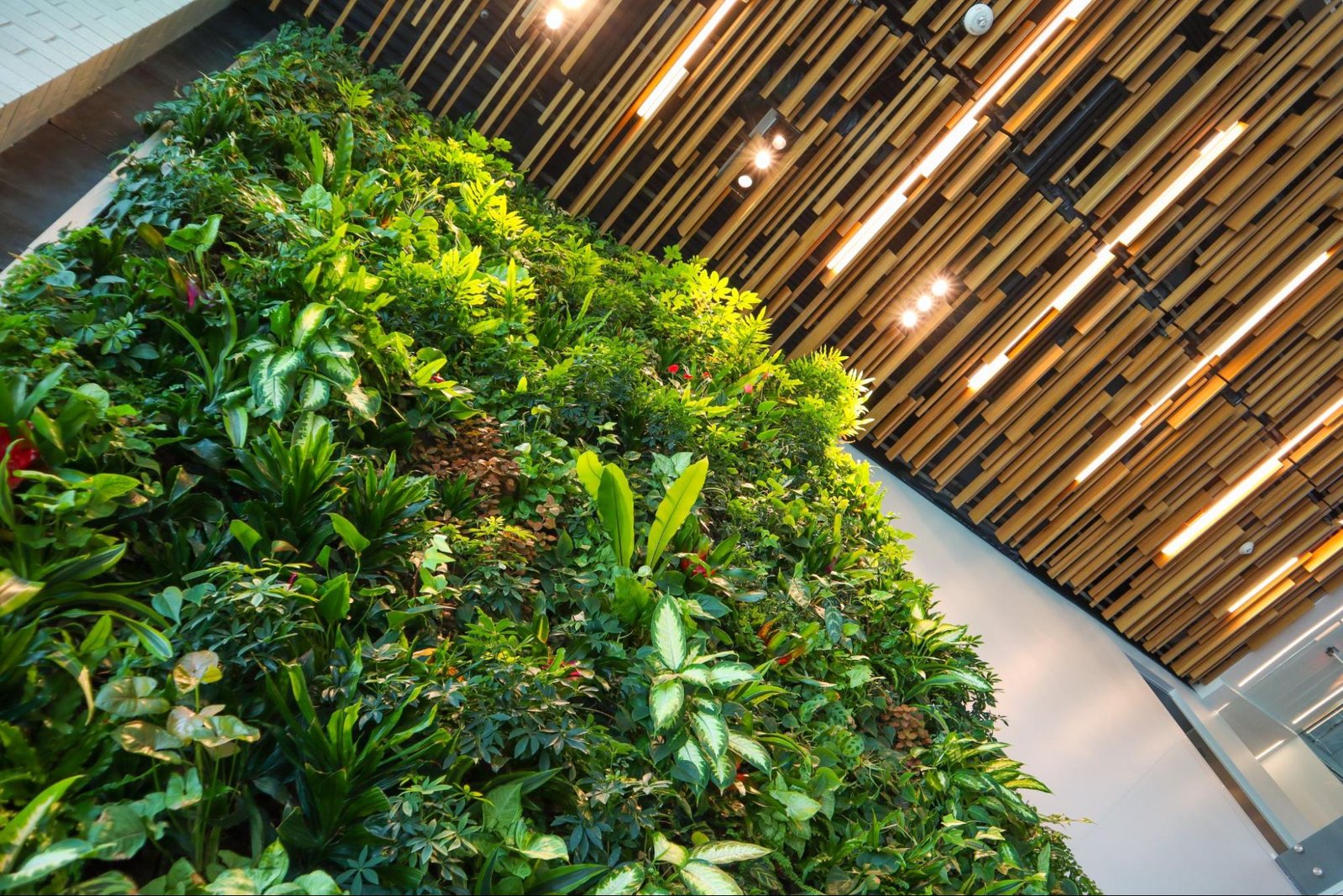 The Rise of Urban Greenery: Why Living Walls Are Gaining Popularity