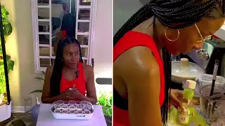 Endless Harvest: Tasty Hydroponic Tomatoes & Cucumbers with Salmon